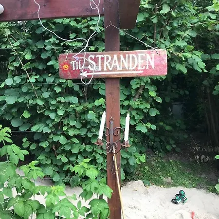 Unikt Sommerhus, Havudsigt, Udespa Og Direkte Til Stranden Fra Egen Have Tatil Evi