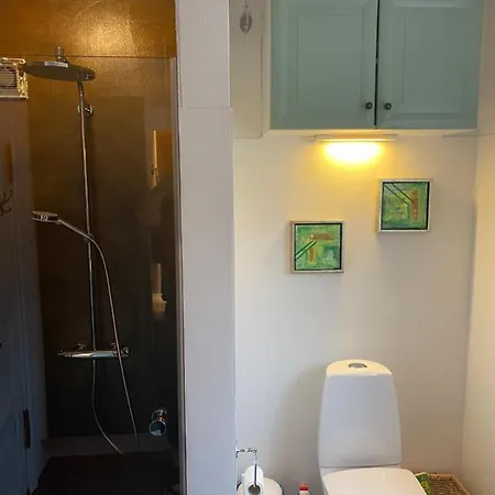 Unikt Sommerhus, Havudsigt, Udespa Og Direkte Til Stranden Fra Egen Have Liseleje